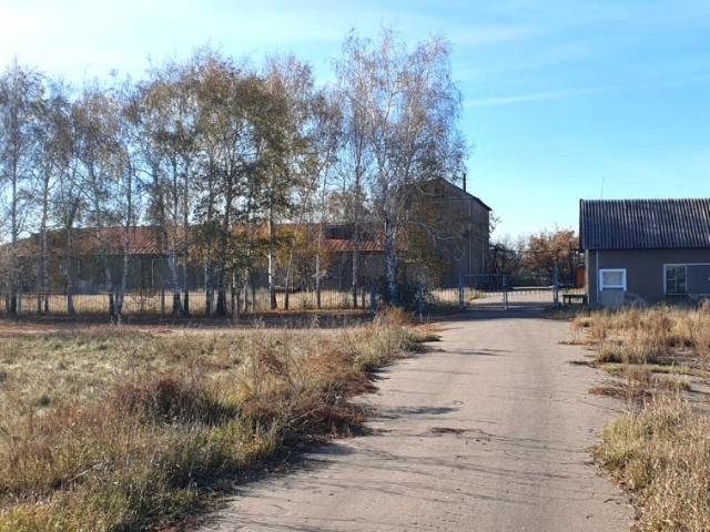 Недвижимость продажа в Полевое С, Алтайский Край
