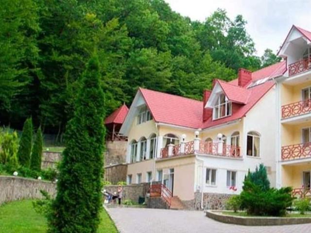 Коммерческая недвижимость продажа в Сваляве, Закарпатской области
