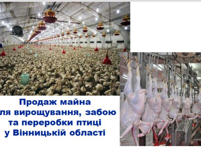 Коммерческая недвижимость продажа в Вендичанах