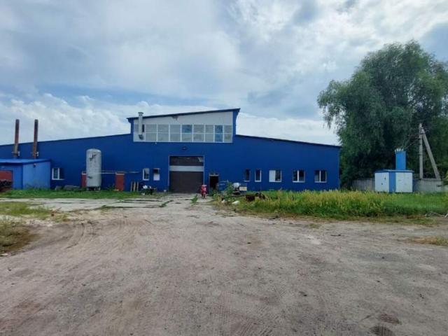 Коммерческая недвижимость продажа в Буча, Бучанський район