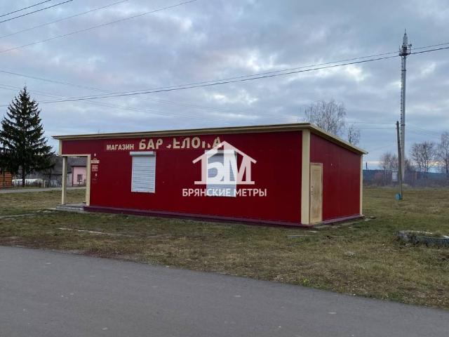Недвижимость продажа в Брянская область