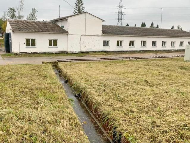 Недвижимость продажа в Ленинградская область