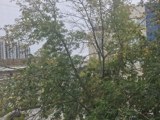Комната аренда в Челябинская область
