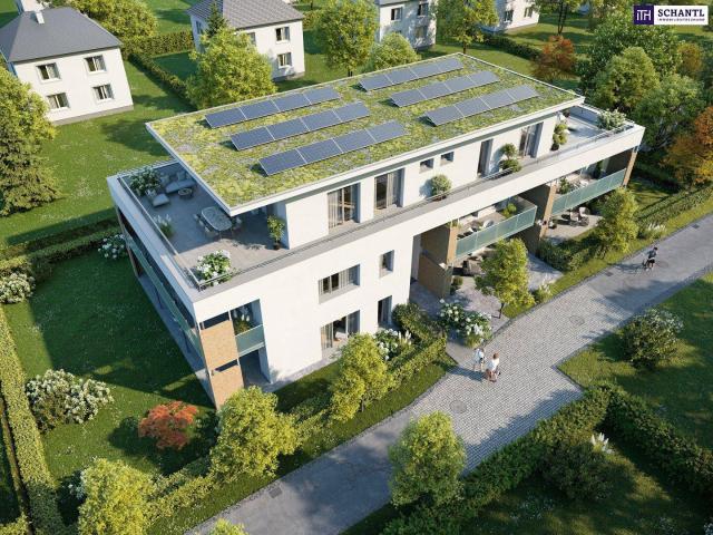 Apartment kaufen in Liebenau, Gersdorf-Feistritz