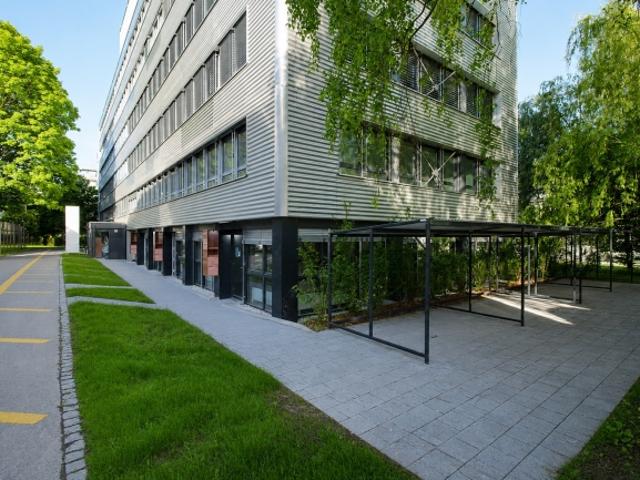Studio mieten in Bern