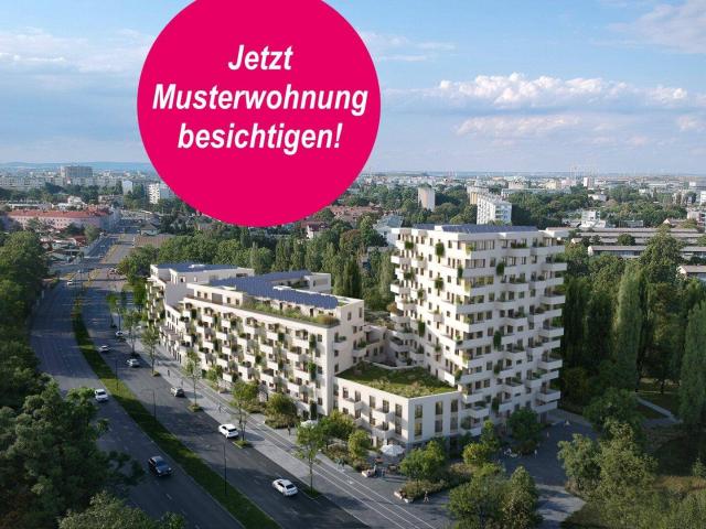 Apartment mieten in Donaustadt, Wien