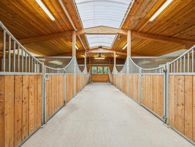 Haus kaufen in Basadingen-Schlattingen, Thurgau