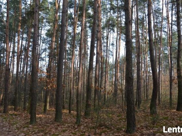 Grunt na sprzedaż w Dąbrowa Tarnowska, Małopolskie