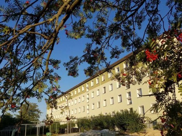 Apartment mieten in Neumark, Sachsen