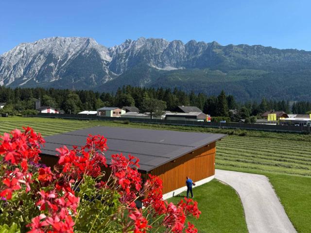 Apartment kaufen in Bad Mitterndorf, Steiermark