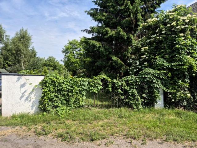 Grunt na sprzedaż w Rogoźno, Wielkopolskie