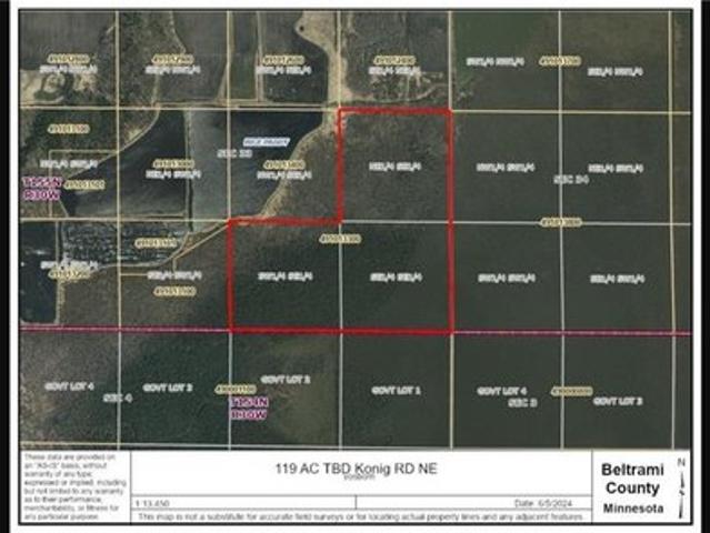 Land for sale in Beltrami, Minnesota