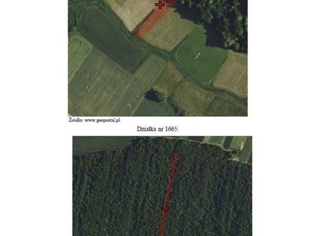 Grunt na sprzedaż w Rachanie, Lubelskie