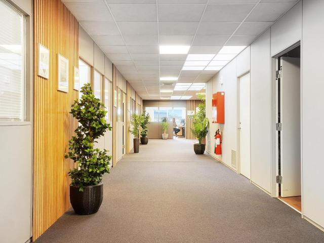 Erhvervsejendom til leje i Brøndby