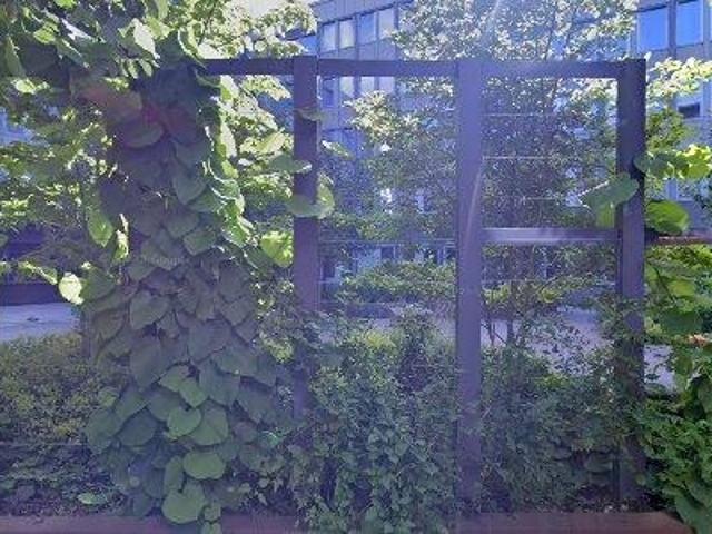 Lokal hyra i Solna, Stockholm