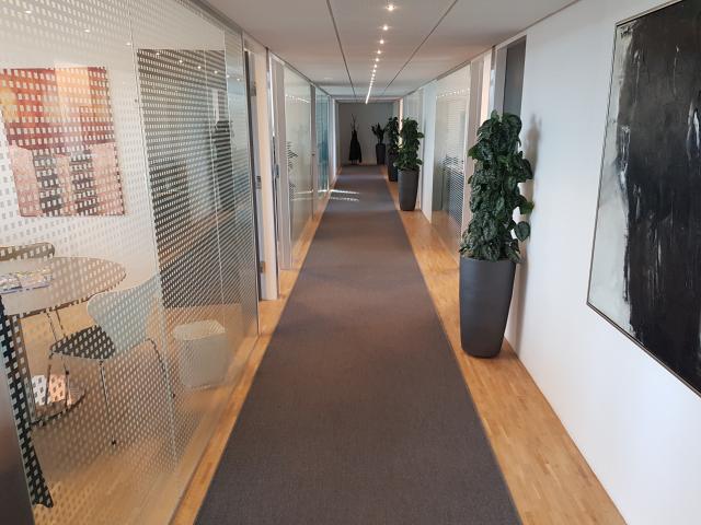 Erhvervsejendom til leje i Vejle