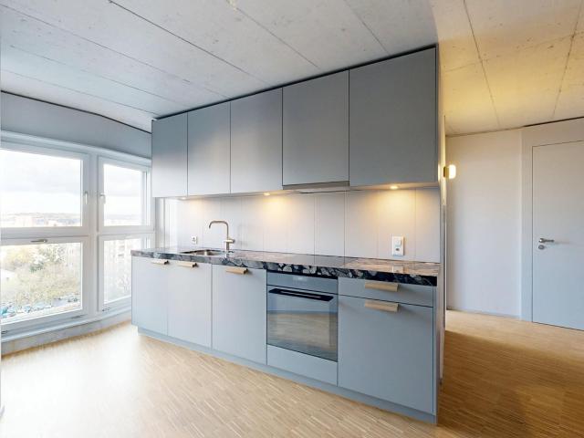 Apartment mieten in Einigen, Zürich