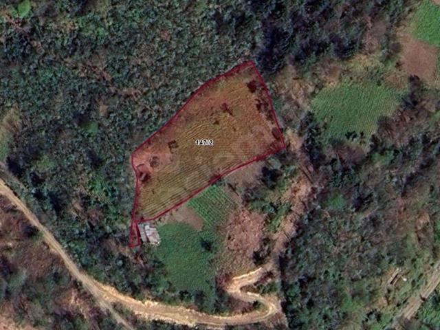 Çamlıtepe, Hemşin içerisinde satılık mülk