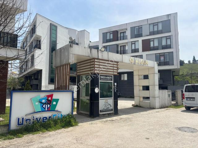 Düzce Merkez, Düzce içerisinde kiralık mülk