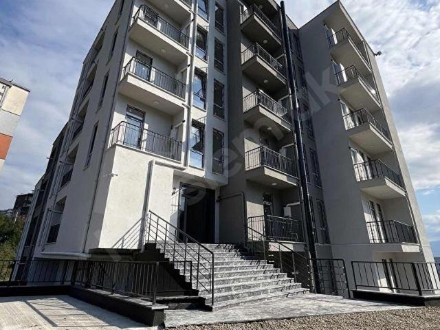 Düzce Merkez, Düzce içerisinde satılık mülk