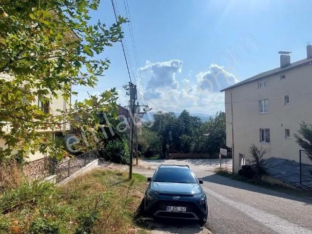 Düzce Merkez, Düzce içerisinde kiralık mülk