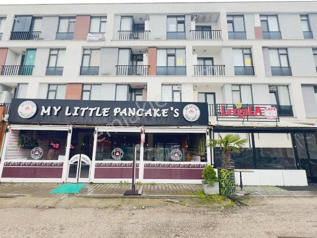 Düzce Merkez, Düzce içerisinde kiralık mülk