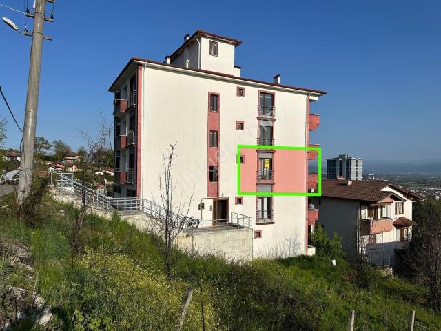 Düzce Merkez, Düzce içerisinde kiralık mülk