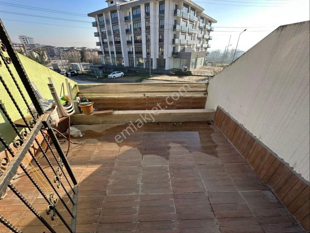 Düzce Merkez, Düzce içerisinde kiralık mülk