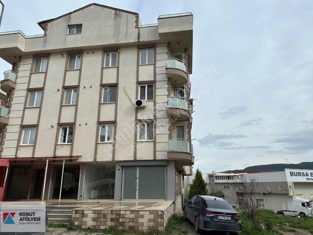 Tuzla, İstanbul içerisinde satılık mülk