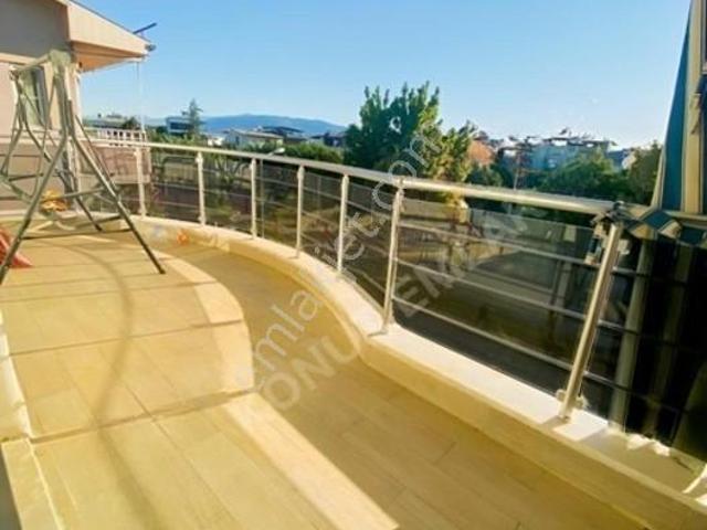 Dallıca, Nazilli içerisinde kiralık mülk