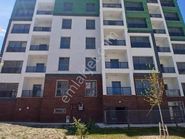 Körfez, Kocaeli içerisinde kiralık mülk