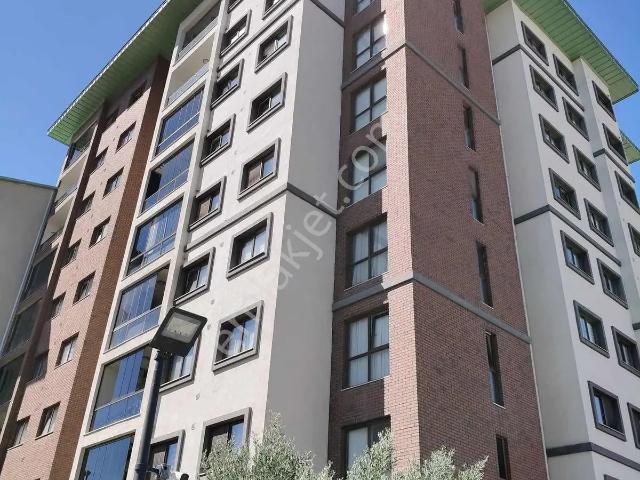 Körfezkent, Körfez içerisinde kiralık mülk