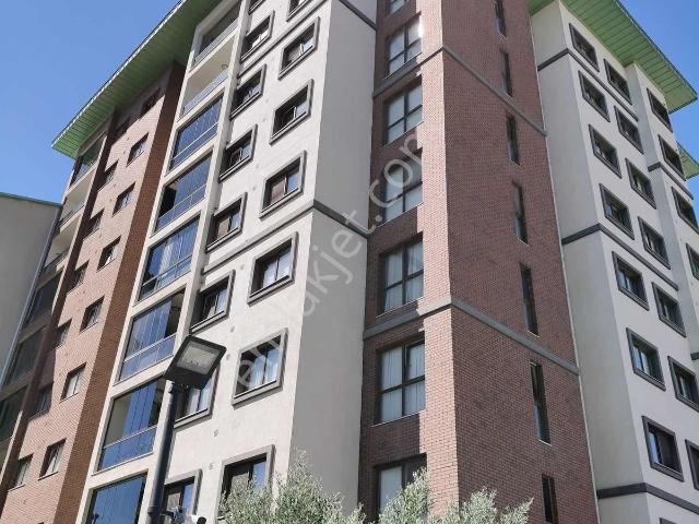 Körfez, Kocaeli içerisinde kiralık mülk