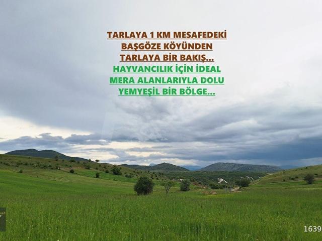 Başgöze, Beyşehir içerisinde satılık Arsa