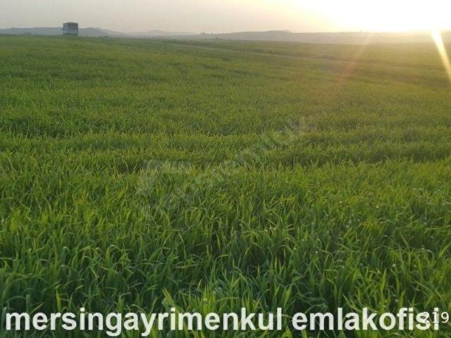 Ereğli içerisinde satılık Arsa