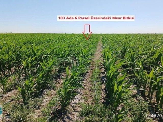 Karapinar, Konya içerisinde satılık Arsa
