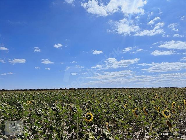 Karatay, Konya içerisinde satılık Arsa