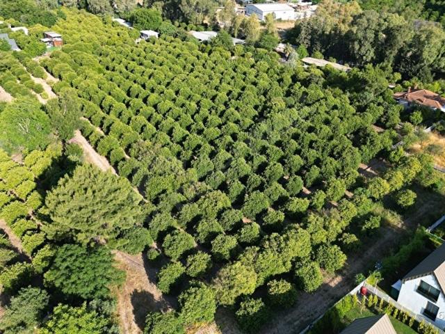Zümrüt, Konyaaltı içerisinde satılık Arsa
