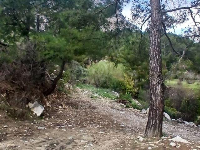 Konyaalti, Antalya içerisinde satılık Arsa