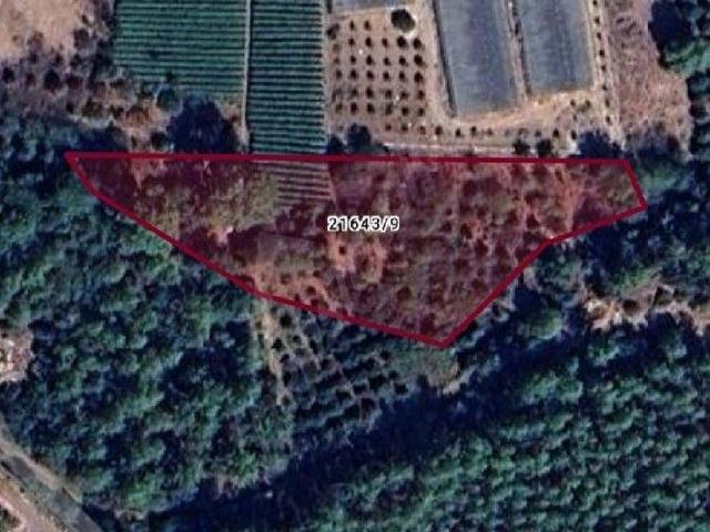 Konyaalti, Antalya içerisinde satılık Arsa
