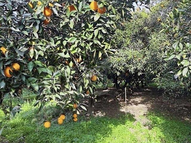 Konyaalti, Antalya içerisinde satılık Arsa