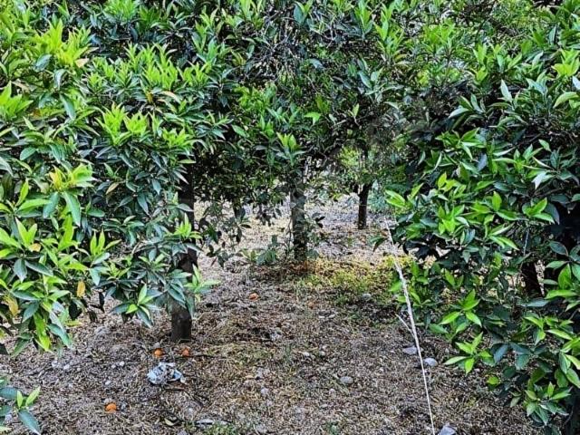 Konyaalti, Antalya içerisinde satılık Arsa