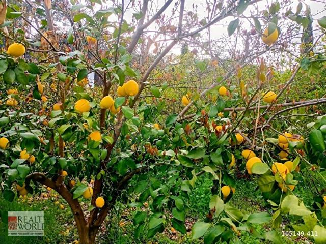 Konyaalti, Antalya içerisinde satılık Arsa