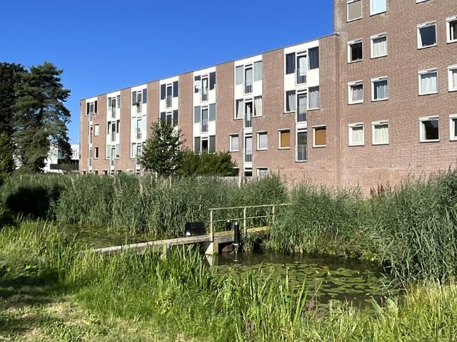Appartement te huur in West, Bosch