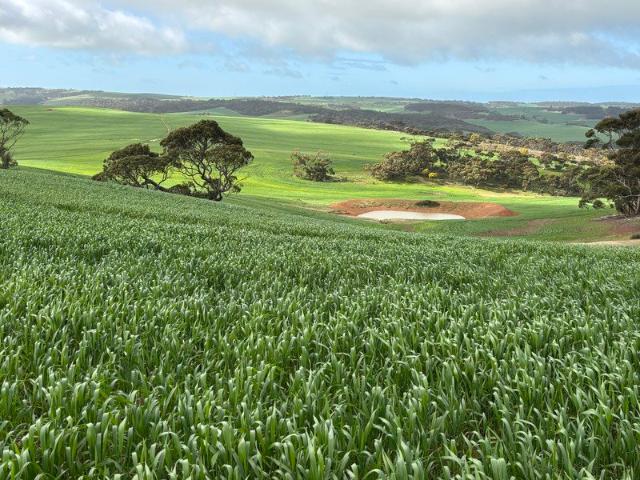 Cottage for sale in Yallunda Flat, South Australia