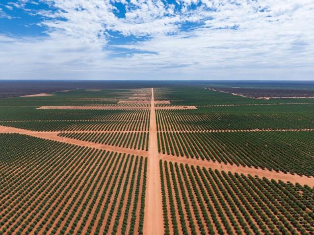 Property for sale in Barmera, South Australia