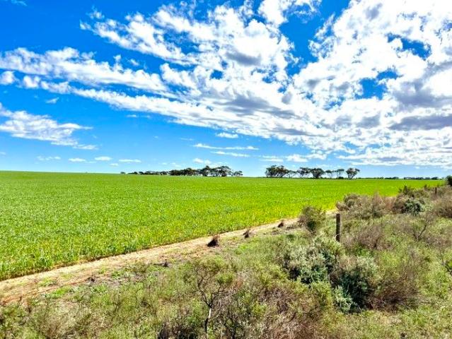 Land for sale in Wandana, South Australia