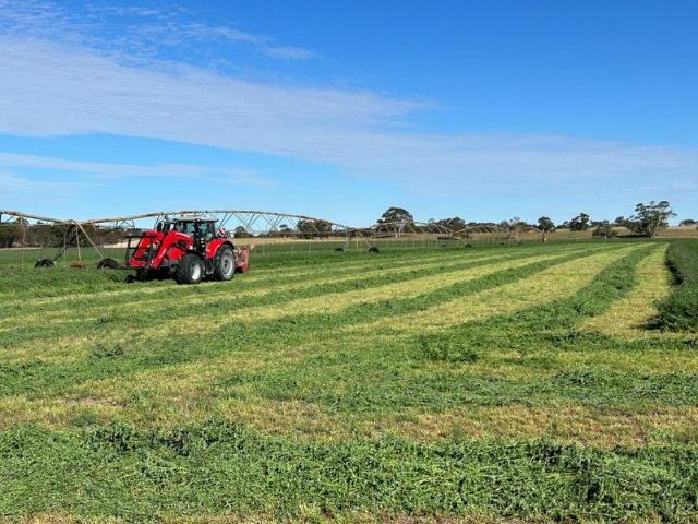 Acreage for sale in Tintinara, South Australia