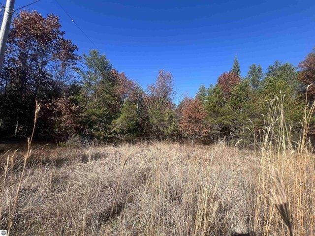 Land for sale in Roscommon, Michigan