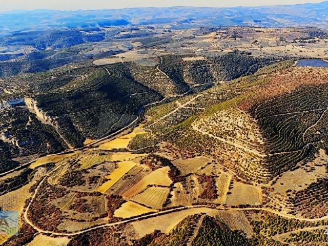 Selviler, Köprübaşı içerisinde satılık Arsa